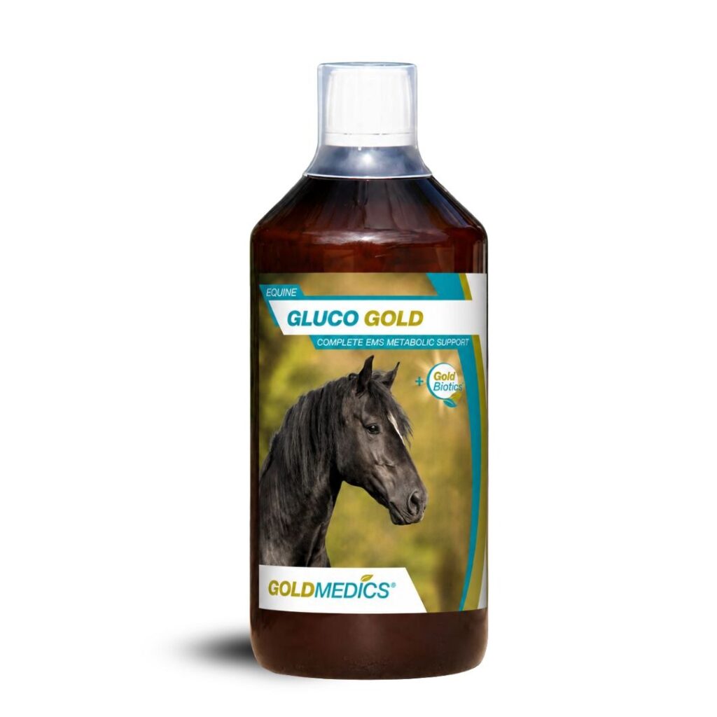 Gluco Gold van GoldMedics voor paarden met EMS of insulinedysregulatie