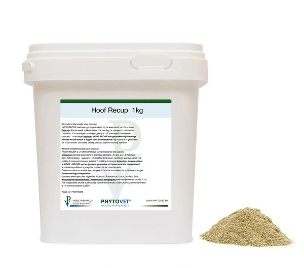 Hoof Recup van Phytovet - 1 kg